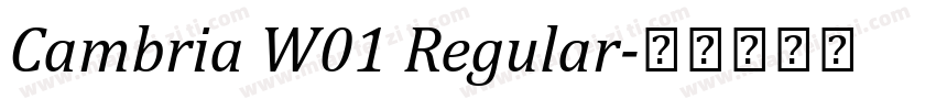 Cambria W01 Regular字体转换
